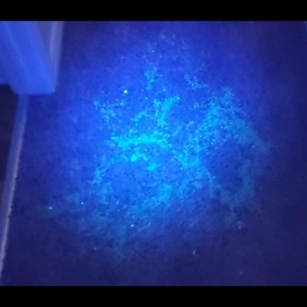 300 Ultraviolet Lamp ( DETECTION & ADVANCED STAIN REMOVAL) - Image 5